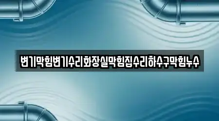 변기막힘변기수리화장실막힘집수리하수구막힘누수