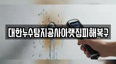 대한누수탐지공사아랫집피해복구