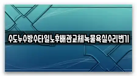 수도누수방수타일노후배관교체녹물욕실수리변기