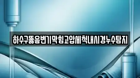 하수구뚫음변기막힘고압세척내시경누수탐지