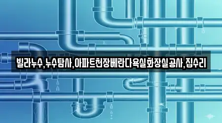 빌라누수,누수탐사,아파트천장베란다욕실화장실공사,집수리
