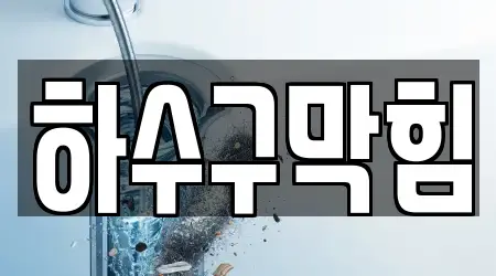 18 베스트 하수구막힘,변기뚫음,누수,싱크대뚫음,변기막힘 창원시 성산구 외동 업체