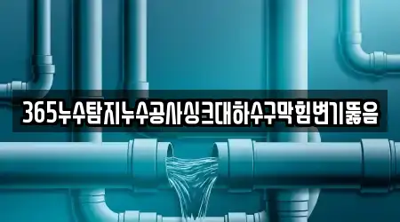 365누수탐지누수공사싱크대하수구막힘변기뚫음