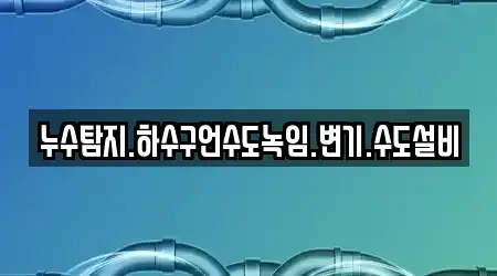 누수탐지.하수구언수도녹임.변기.수도설비