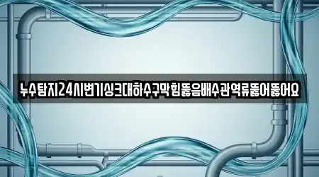 누수탐지24시변기싱크대하수구막힘뚫음배수관역류뚫어뚫어요