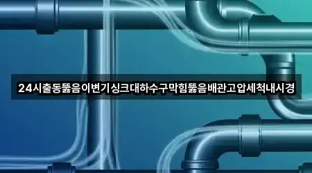 24시출동뚫음이변기싱크대하수구막힘뚫음배관고압세척내시경