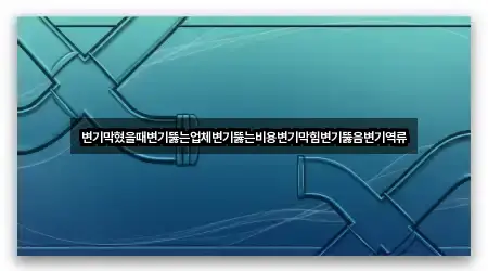 변기막혔을때변기뚫는업체변기뚫는비용변기막힘변기뚫음변기역류