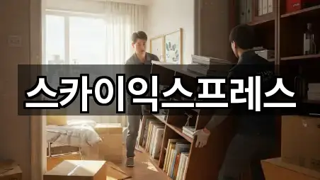 스카이익스프레스