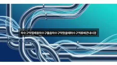 하수구막힘배용하수구뚫음하수구막혔을떼하수구역류배관내시경