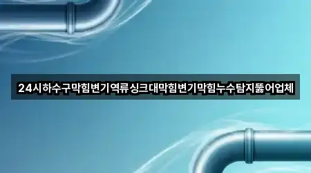 24시하수구막힘변기역류싱크대막힘변기막힘누수탐지뚫어업체