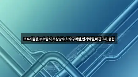 24시출장,누수탐지,옥상방수,하수구막힘,변기막힘,배관교체,용접