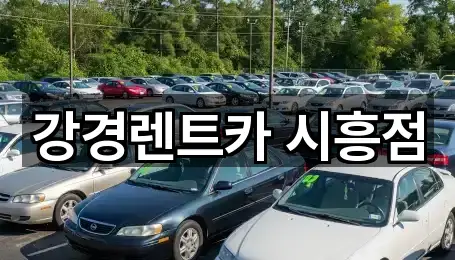 강경렌트카 시흥점