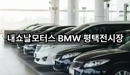 내쇼날모터스 BMW 평택전시장