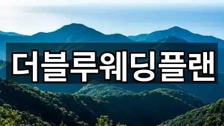 더블루웨딩플랜