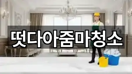 떳다아줌마청소