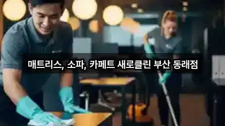 명장동 청소업체 상담 가능 5곳
