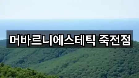 머바르니에스테틱 죽전점