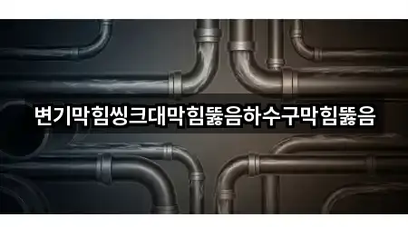 변기막힘씽크대막힘뚫음하수구막힘뚫음