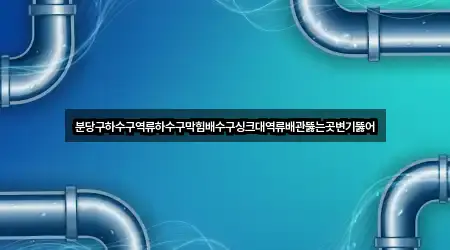 분당구하수구역류하수구막힘배수구싱크대역류배관뚫는곳변기뚫어