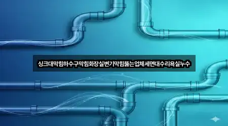 싱크대막힘하수구막힘화장실변기막힘뚫는업체세면대수리욕실누수