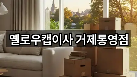 옐로우캡이사 거제통영점