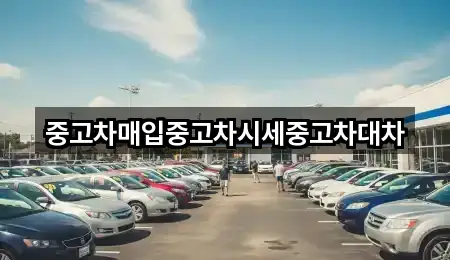 중고차매입중고차시세중고차대차