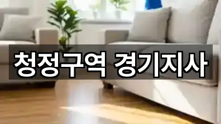 청정구역 경기지사