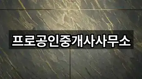 프로공인중개사사무소