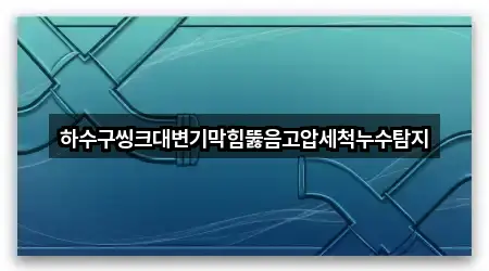 하수구씽크대변기막힘뚫음고압세척누수탐지