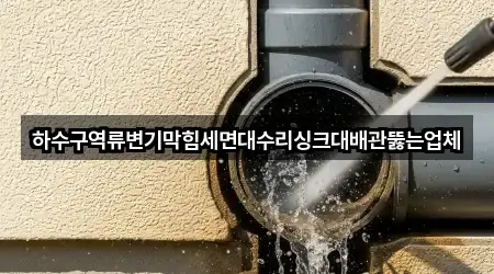 하수구역류변기막힘세면대수리싱크대배관뚫는업체