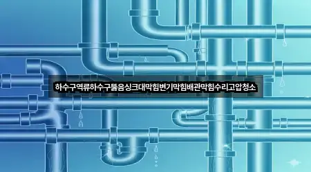 하수구역류하수구뚫음싱크대막힘변기막힘배관막힘수리고압청소