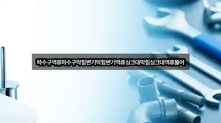 하수구역류하수구막힘변기막힘변기역류싱크대막힘싱크대역류뚫어