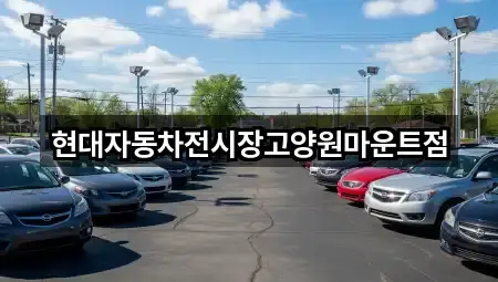 연락 가능한 고양시 주엽동 자동차전시장 5곳