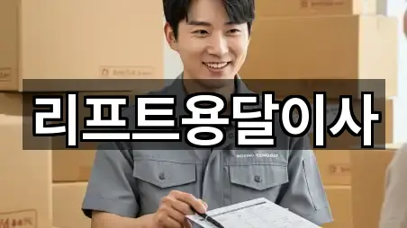 리프트용달이사