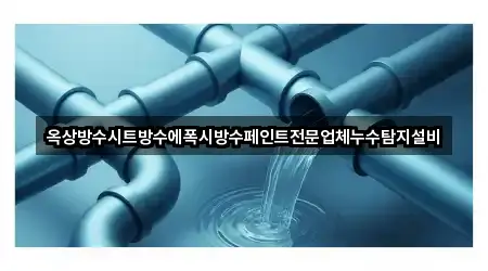 옥상방수시트방수에폭시방수페인트전문업체누수탐지설비