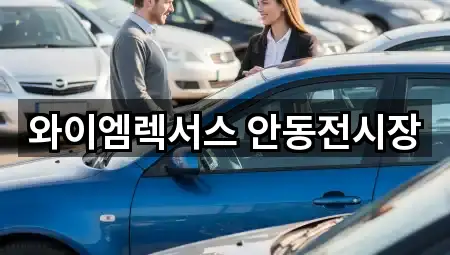 와이엠렉서스 안동전시장