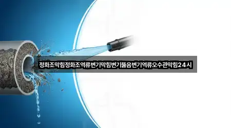 정화조막힘정화조역류변기막힘변기뚫음변기역류오수관막힘24시
