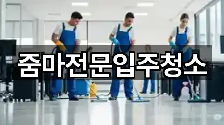 줌마전문입주청소