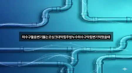 하수구뚤음변기뚫는곳싱크대막힘주방누수하수구막힘변기막혔을때