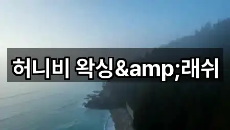 허니비 왁싱&래쉬