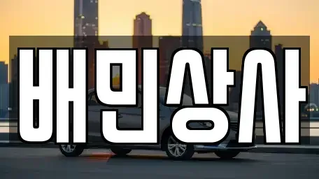 강원 양양군 서면 중고차매매 전문 배민상사