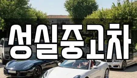 강원 양양군 서면 중고차매매 전문 성실중고차