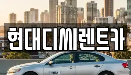 강원 철원군 동송읍 렌트카 전문 현대디씨렌트카