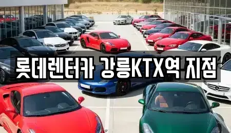 강원특별자치도 강릉시 성남동 렌트카,단기렌트카,장기렌트카,중고차,중고차매매,중고차매입