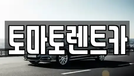 경기 가평군 청평면 렌트카 전문 토마토렌트카