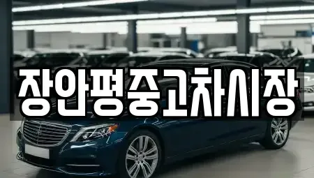 경기 가평군 청평면 중고차 전문 장안평중고차시장