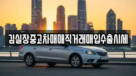 경기 고양시 덕양구 성사동 중고차 전문 김실장중고차매매직거래매입수출시세
