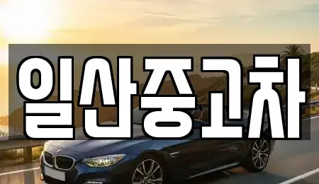 경기 고양시 덕양구 성사동 중고차 전문 일산중고차