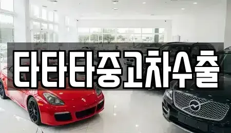 경기 고양시 덕양구 성사동 중고차 전문 타타타중고차수출