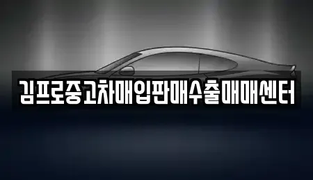 경기 고양시 덕양구 성사동 중고차매입 전문 김프로중고차매입판매수출매매센터